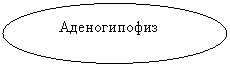 ����: ������������