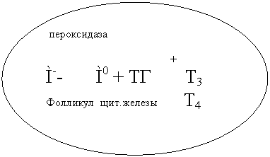 ����: �����������

 +
Ì-- Ì0 + �� �3 
�������� ���.������ �4 
