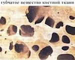 губчатое вещество костной ткани