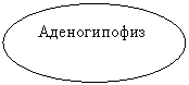 Овал: Аденогипофиз
