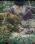 C:\Users\��������\Pictures\0_3c28b_edadf3cb_XXL.jpg