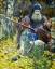 C:\Users\��������\Pictures\0_3c288_9d86db85_XL.jpg