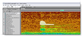 Adobe Audition 2.0.