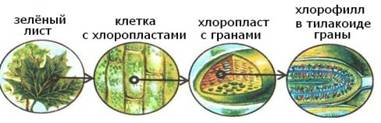 http://festival.1september.ru/articles/581224/img1.jpg