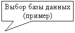 Прямоугольная выноска: Выбор базы данных
(пример)