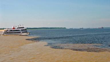 Host City Manaus.jpg