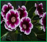 click?url=http%3A%2F%2Fwww