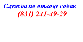 Подпись: