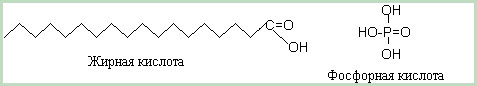 Рис.4