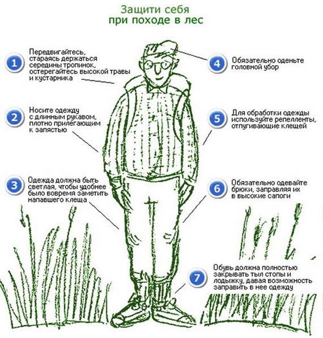 http://www.ikirov.ru/files/1304/%D0%97%D0%B0%D1%89%D0%B8%D1%82%D0%B0%20%D0%BE%D1%82%20%D0%BA%D0%BB%D0%B5%D1%89%D0%B5%D0%B9(1).jpg