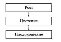 ��������: C:\Users\User\AppData\Local\Temp\FineReader11\media\image3.png