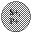 ����: S+,P+