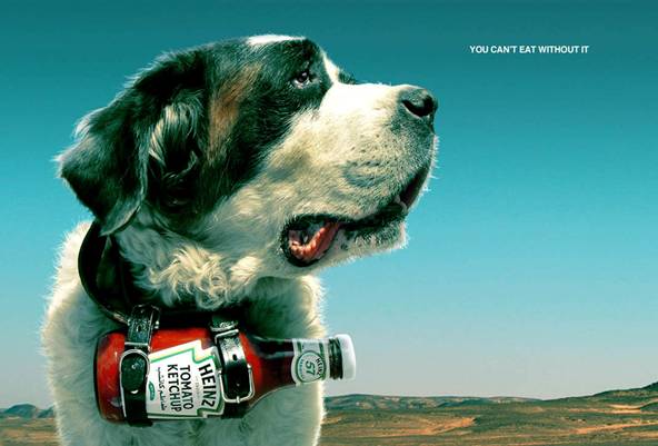 ������� ������ ������ «Heinz». ������� ������ ������ «Heinz».