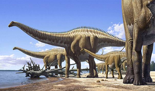 C:\Users\Наташа\Downloads\diplodocus-Raul-Martin.jpg