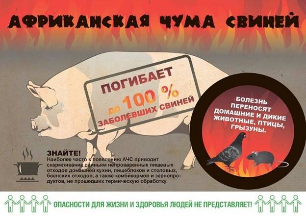 http://mpr.omskportal.ru/ru/RegionalPublicAuthorities/executivelist/MPR/news/2017/08/10/1502338734404/PageContent/0/image/23.jpg