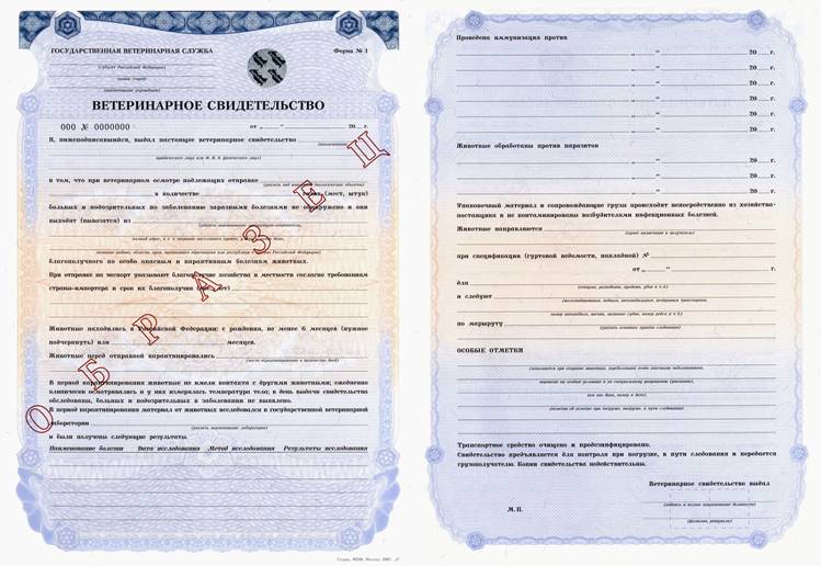 C:\Documents and Settings\user\������� ����\���.�����. ��������\���. ��. ���� N 1.png