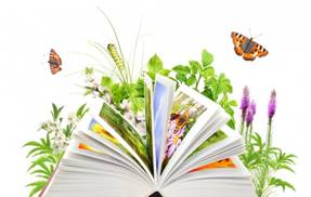 Matthew Levesque - Author, "The Revolutionary Yardscape" Northwest Flower & Garden Show - Blog