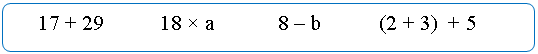 ����������� �������������: 17 + 29 18 × � 8 � b (2 + 3) + 5 



