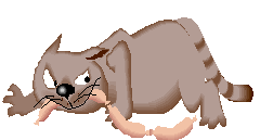CATSAUSG