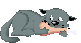 KITTEN