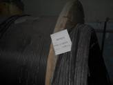 DSCN1577