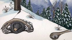 http://cwf-fcf.org/assets/images/WILD-Classes-Photographs/Jonasson-Grade-6/2_hibernation_header.jpg