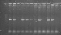 H:\������ 2\2 ������\2014-05-21_Lr24_Lr9.jpg
