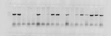 H:\������ 2\2014-04-28_Lr19_neg.jpg