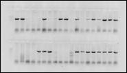 H:\������ 2\2014-04-28_Lr19_neg.jpg