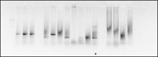 H:\������ 2\2014-04-28_Lr34_neg.jpg