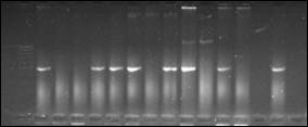 H:\������ 2\2 ������\2014-05-21_Lr24_Lr9.jpg