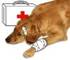 http://rodn-i-k.narod.ru/tipologia_pr/veterinar.jpg