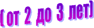 ( от 2 до 3 лет)