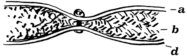 ���.6