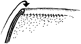 ���.10