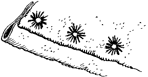 ���.11