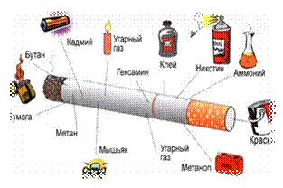 http://www.dusidusi.ru/uploads/posts/2012-11/thumbs/1352784559_1352635604_2.jpg