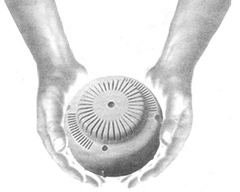 H:\����������\2007\������-2006\������ 2005\���.JPG
