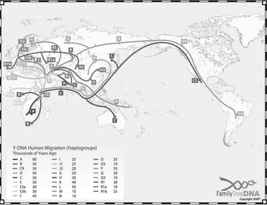 http://www.gariny.narod.ru/DNK/Migrationmap_FTDNA2006.jpg