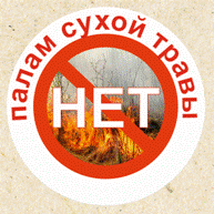 http://www.rosleshoz.gov.ru/media/news/1519/antipal.png