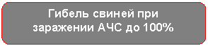 ����������� �������������: ������ ������ ��� 

��������� ��� �� 100%

