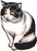 http://www.thetopfree.com/d/file/free-vectors/animal/images/cute-cat-with-yellow-eyes-sitting-for-rest-in-front-view-2297-2297.jpg