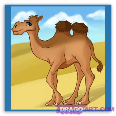 http://www.dragoart.com/tuts/pics/12/3784/how-to-draw-a-cartoon-camel-tutorial-picture.jpg