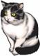 http://www.thetopfree.com/d/file/free-vectors/animal/images/cute-cat-with-yellow-eyes-sitting-for-rest-in-front-view-2297-2297.jpg