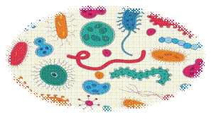 http://discover.umn.edu/sites/default/files/shutterstock_232583299.jpg