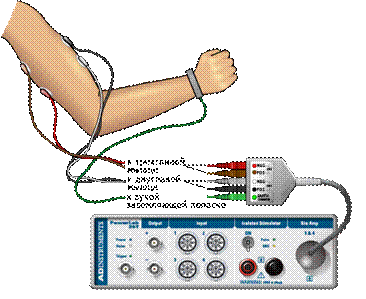 http://192.168.0.100/Experiment%20Files/expid_47/images/Setup%20BioAmp2CH%20BicepsEMG_PowerLab%2026T.png