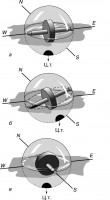 http://over-sport.ru/f/1/a_1u1328109585_3.jpg