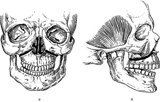 http://vmede.org/sait/content/Travmatologiya_4lx_afan_2010/6_files/mb4_003.jpeg