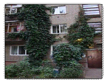 http://sibac.info/files/2012_11_22_StudNatur/7_Fazilov.files/image004.jpg