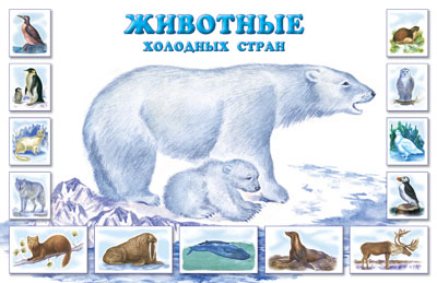 http://shkola7gnomov.ru/upload/iblock/39b/39bbc95f53ca57bcf0d7007196b2ef46.jpg